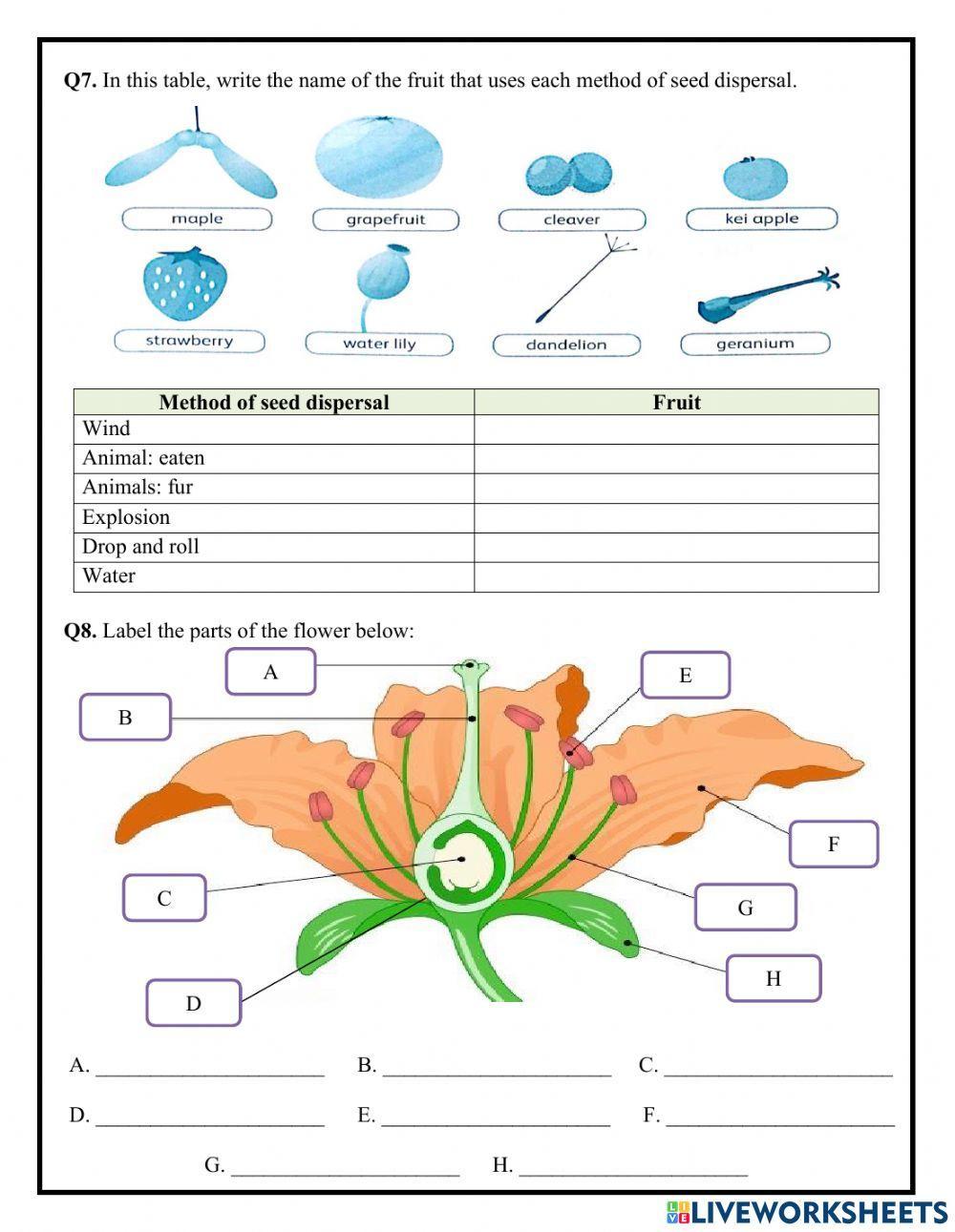 Unit 1 - Life cycle of a flowering plant