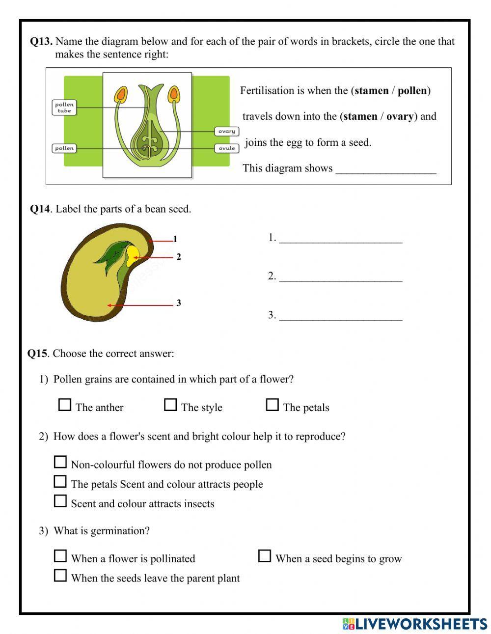 Unit 1 - Life cycle of a flowering plant