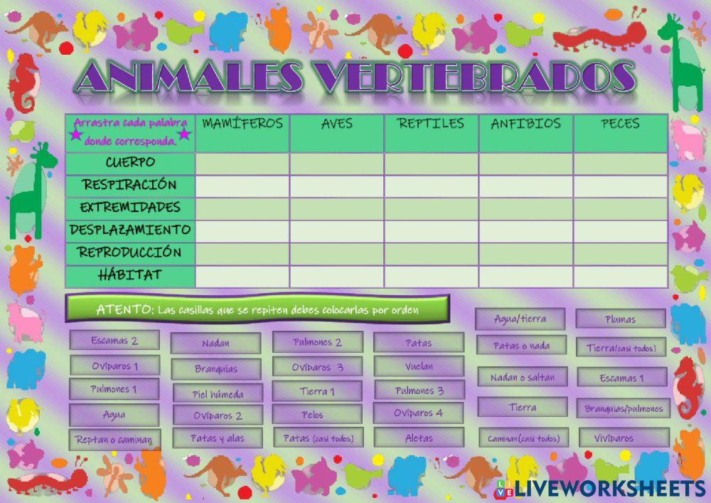 ANIMALES VERTEBRADOS