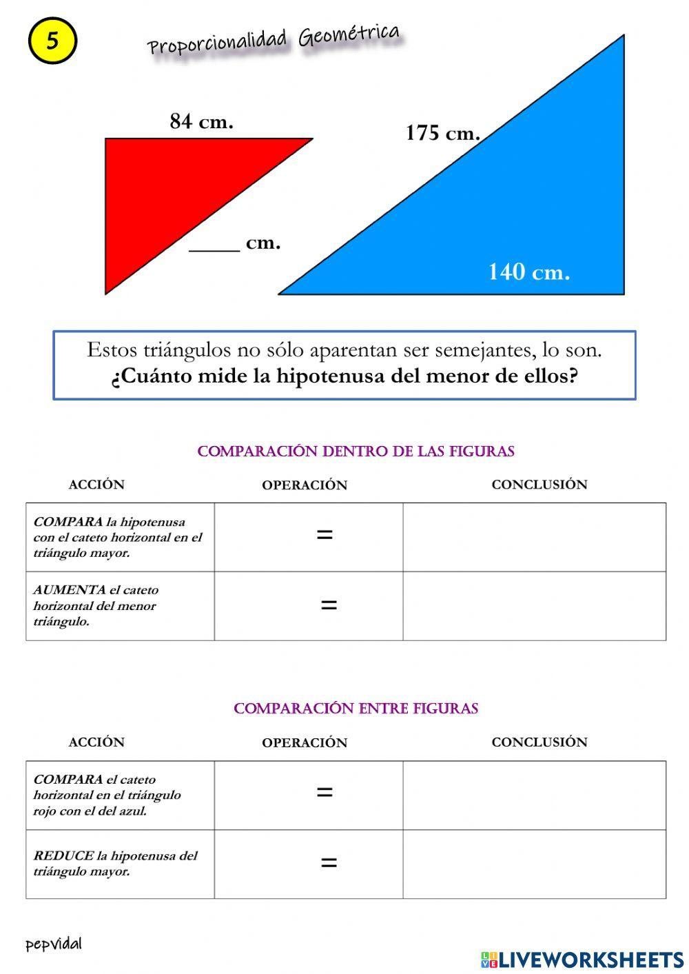 Proporcionalidad geométrica 5