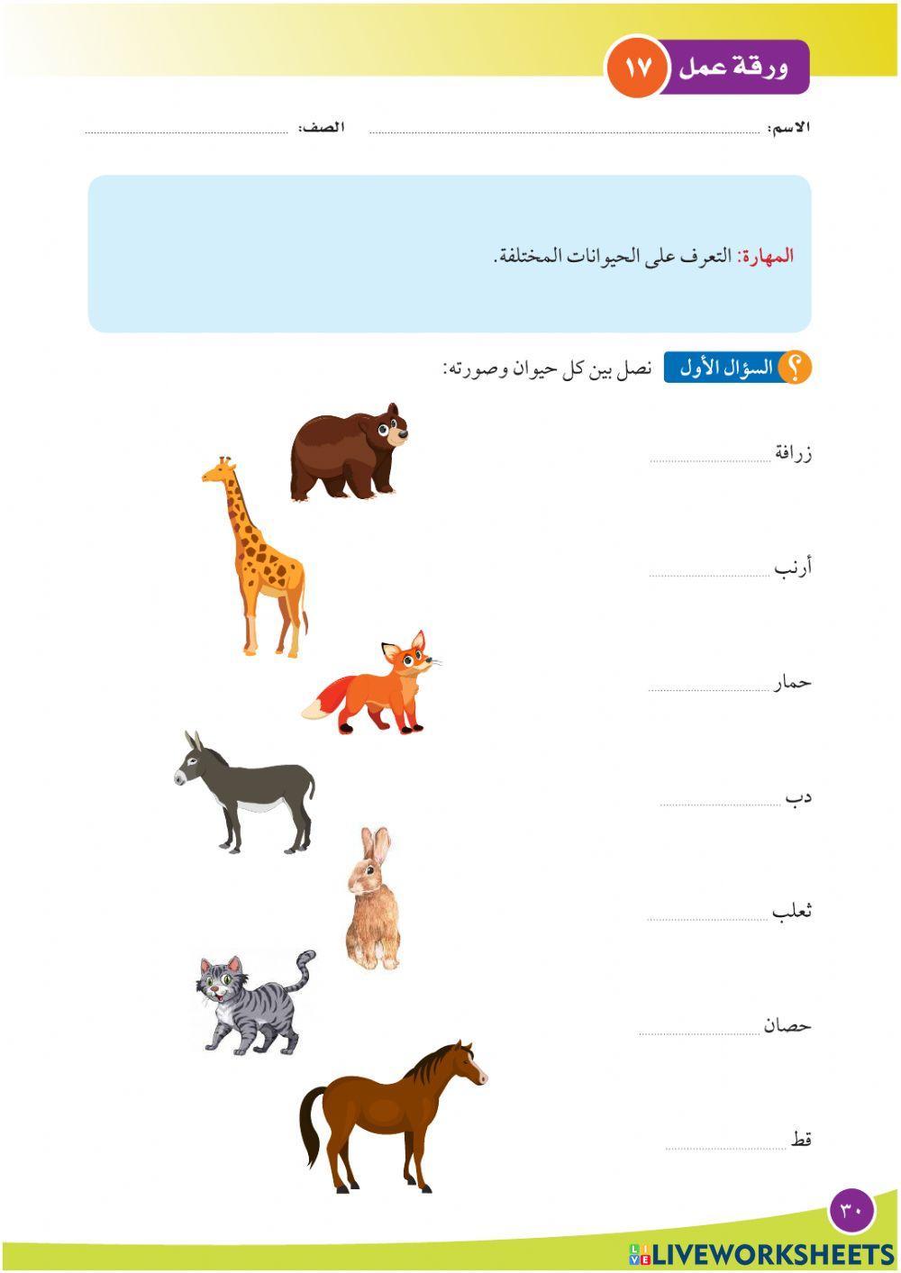 الربط بين الصورة واسم الحيوان