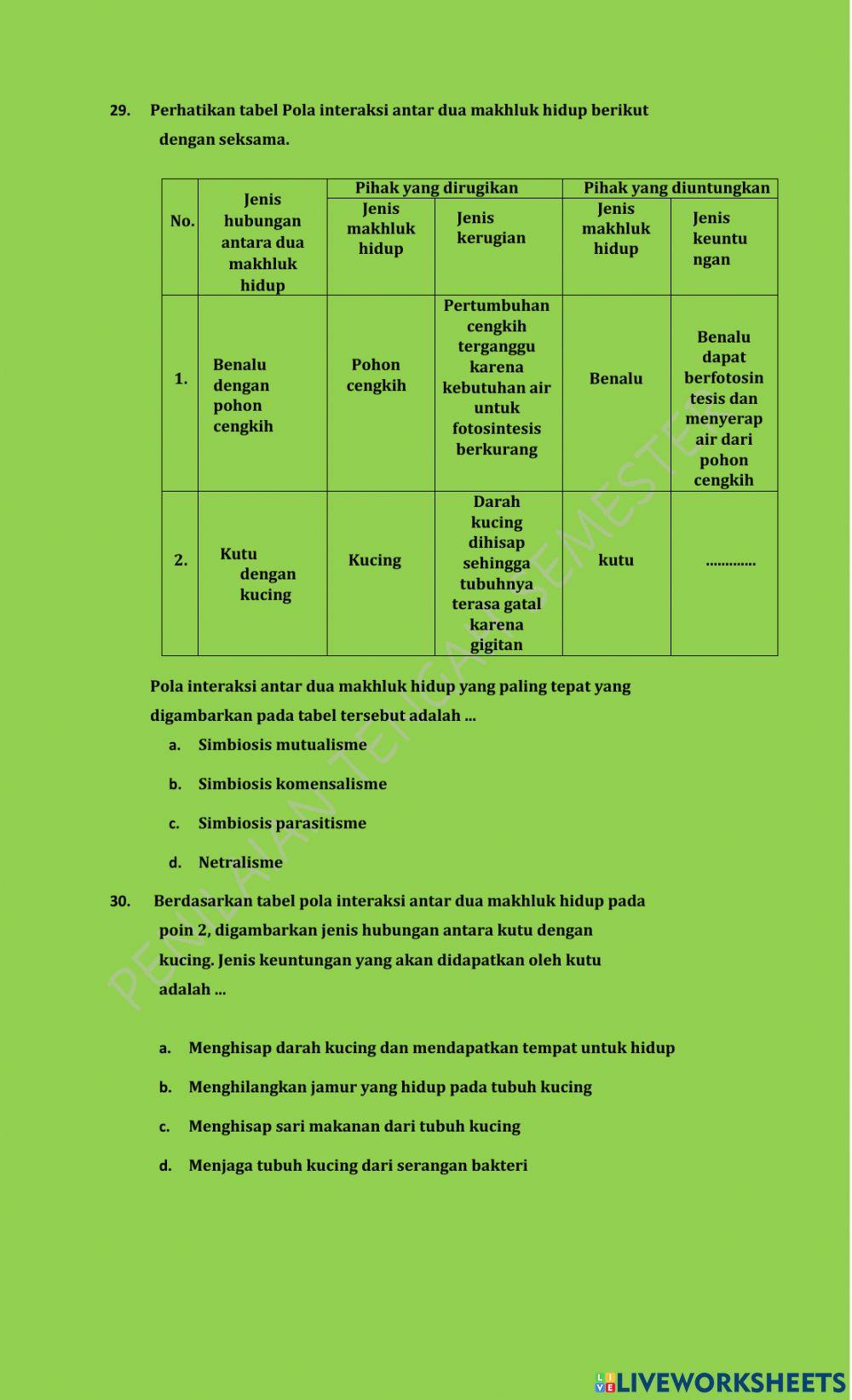 Penilaian tengah semester genap