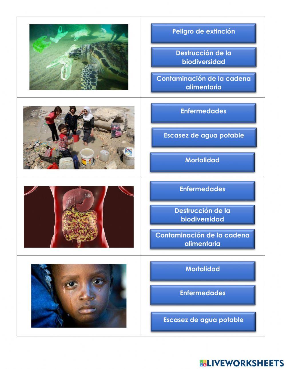 Contaminación Hidrica