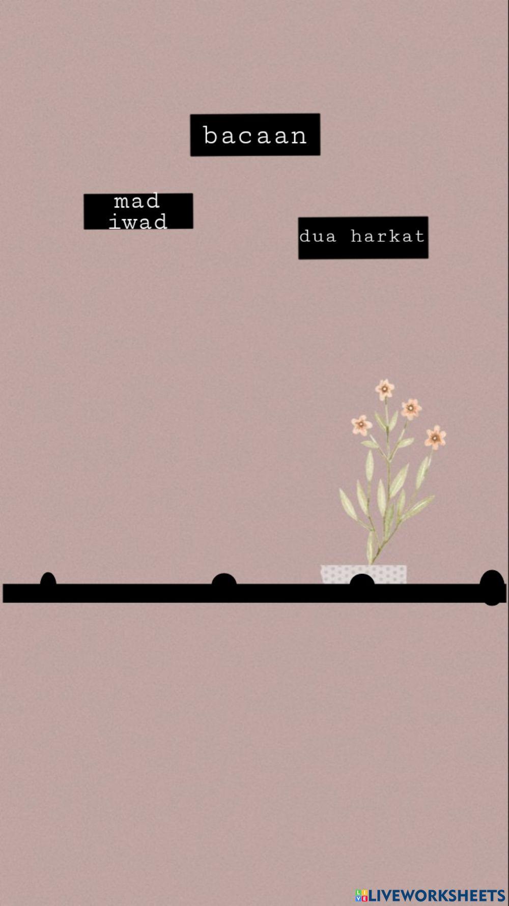 Hukum bacaan mad iwad,mad layyin dan mad arid lissukun