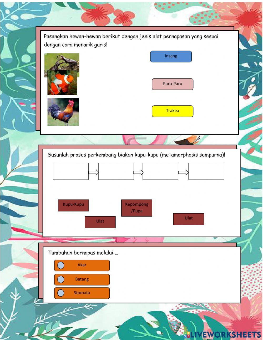 LPKD Ciri-Ciri Mahluk Hidup