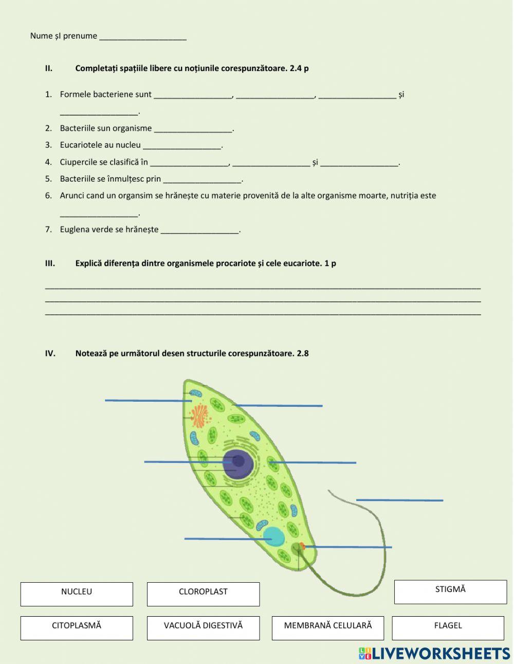 Bacterii-protiste-fungi