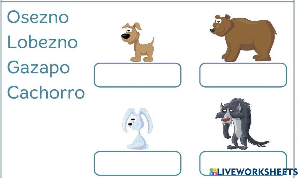 Crías de animales vivíparos