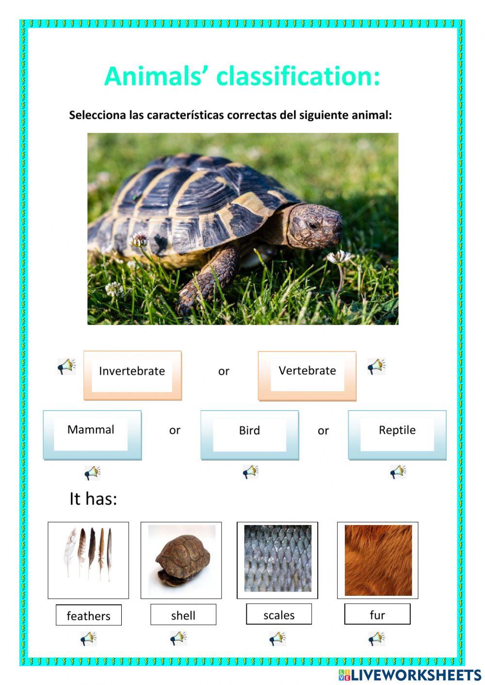 Animal's classification