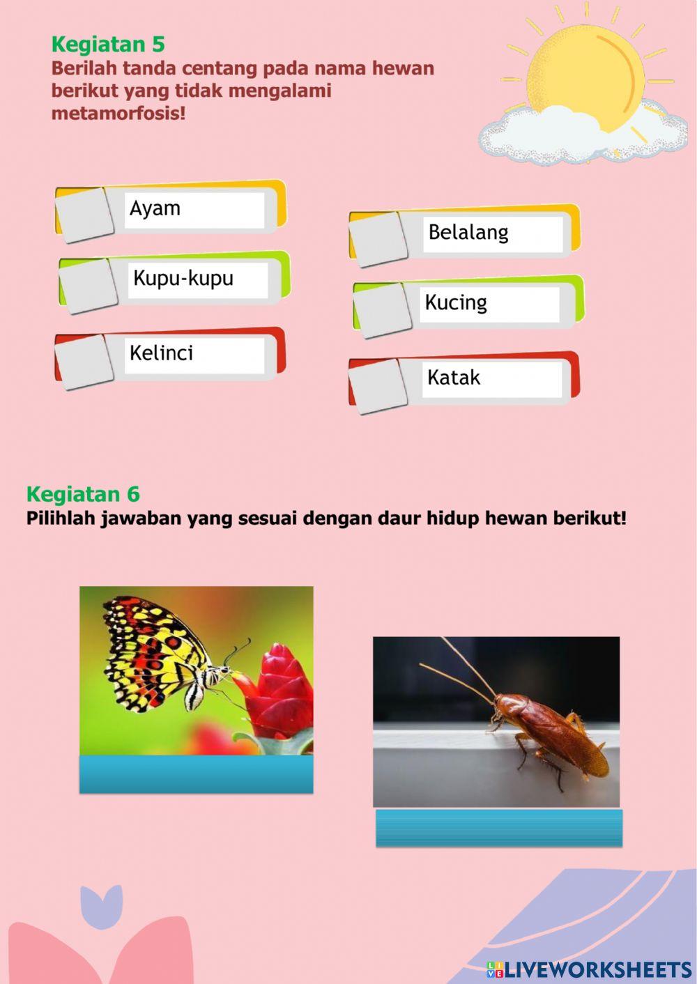 Tema 6 Subtema 1 Kelas 4