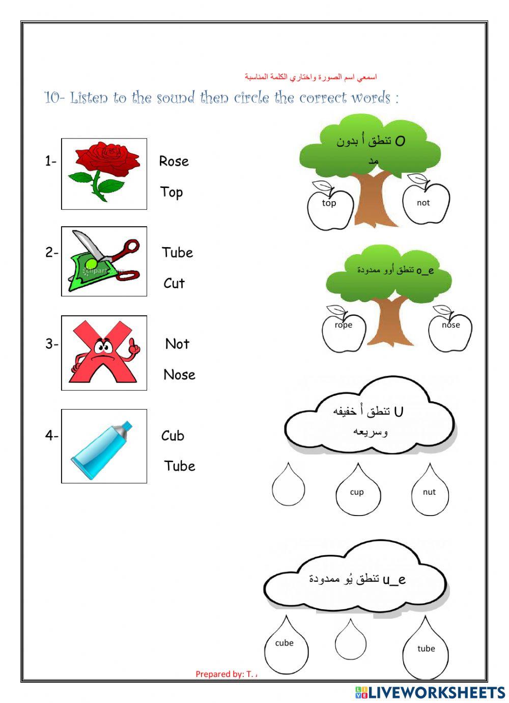 General Summary on days and weather