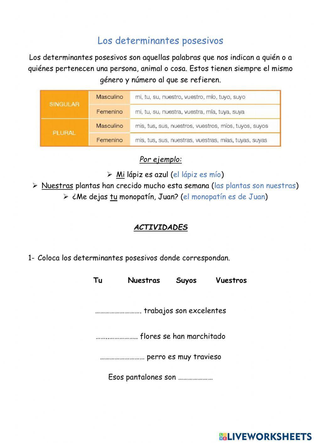 Los determinanates posesivos