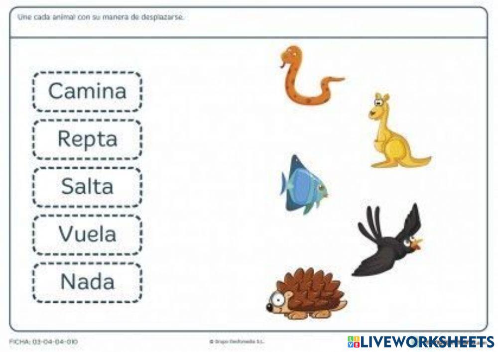 Animales- desplazamiento