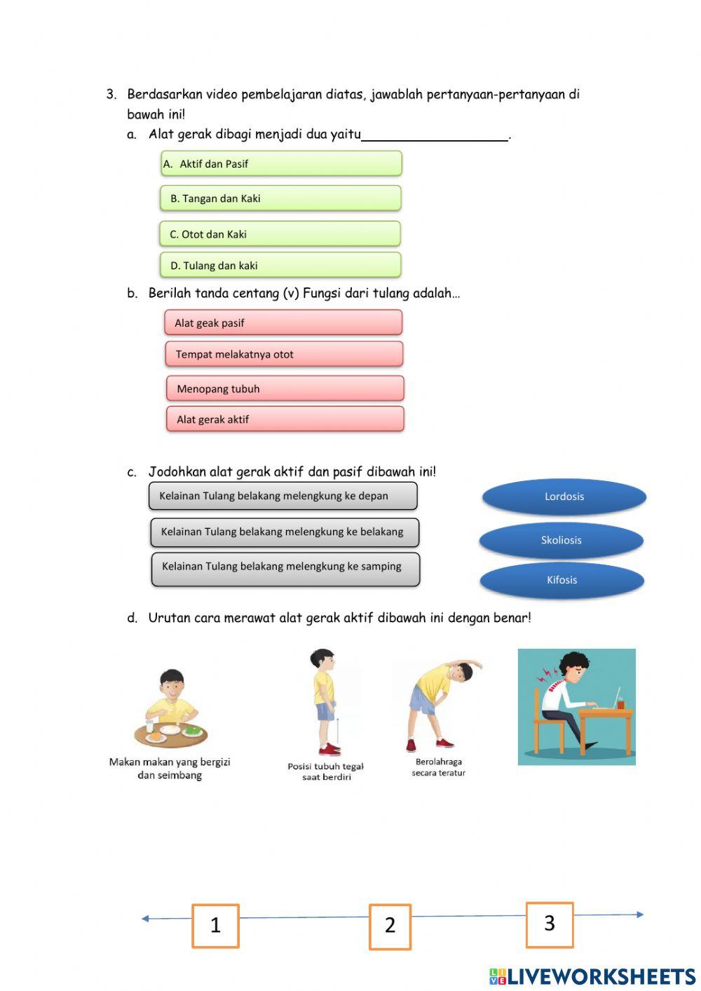Kelas 5 - Tema 1.Organ Gerak Hewan dan Manusia