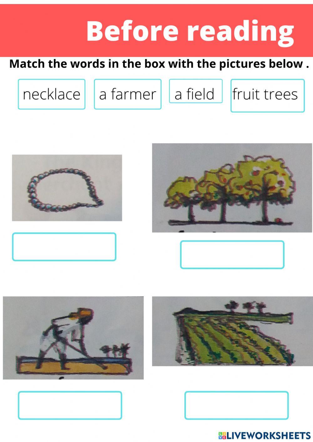 The Magnificent mango