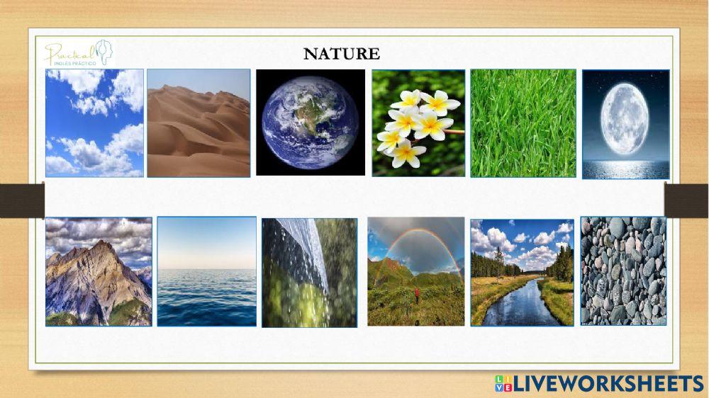 Vocabulary test - nature - part 1