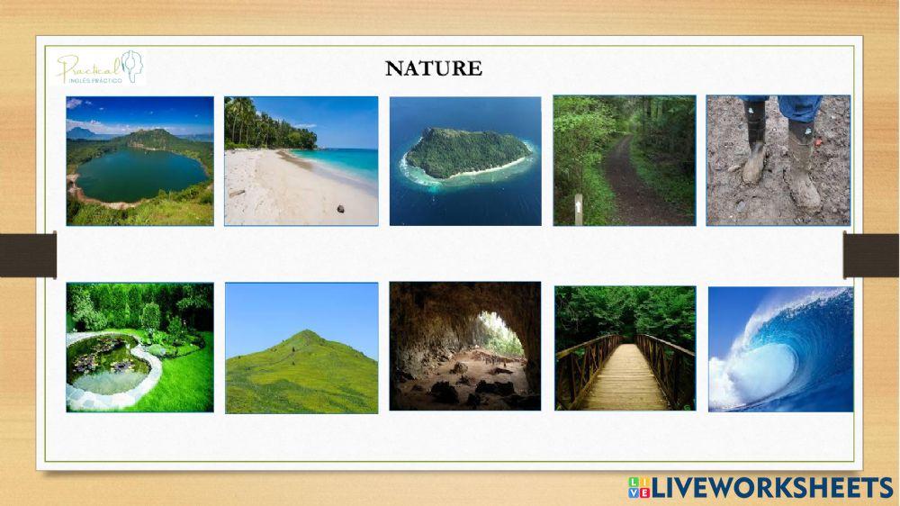 Vocabulary test - nature - part 2