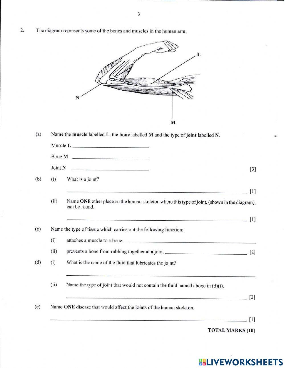 Health Science Tutorial 2