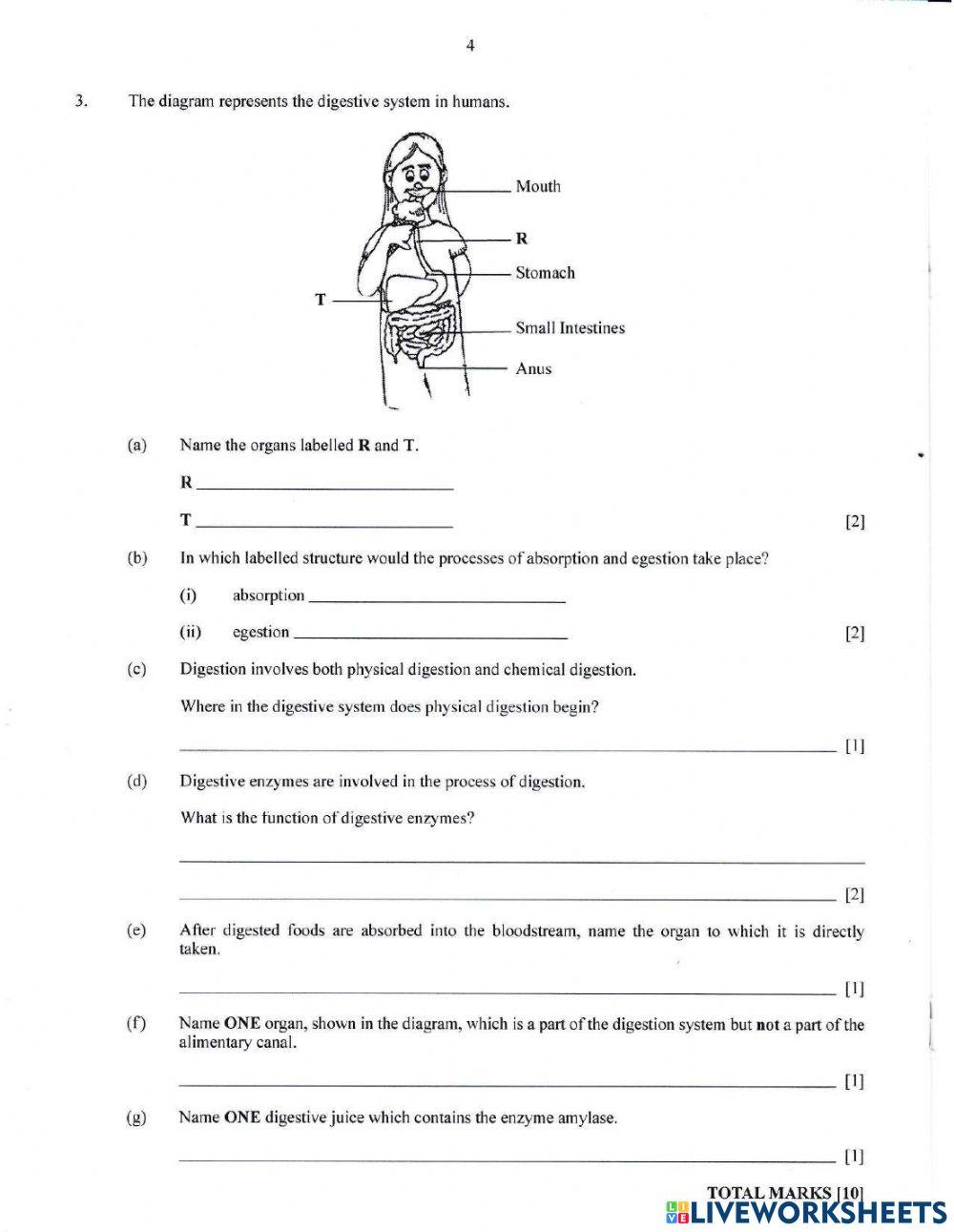 Health Science Tutorial 2