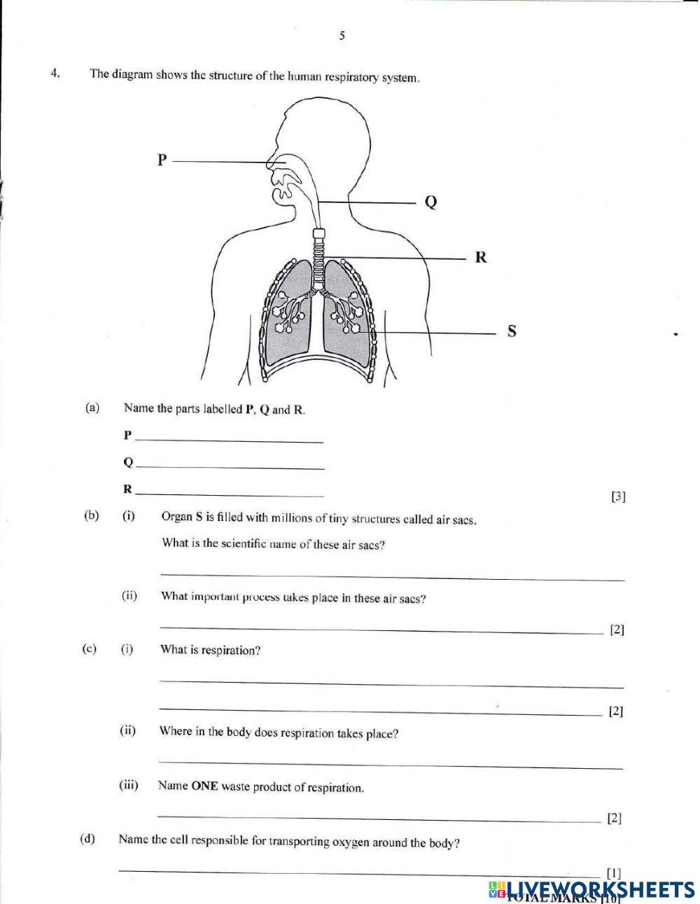 Health Science Tutorial 2