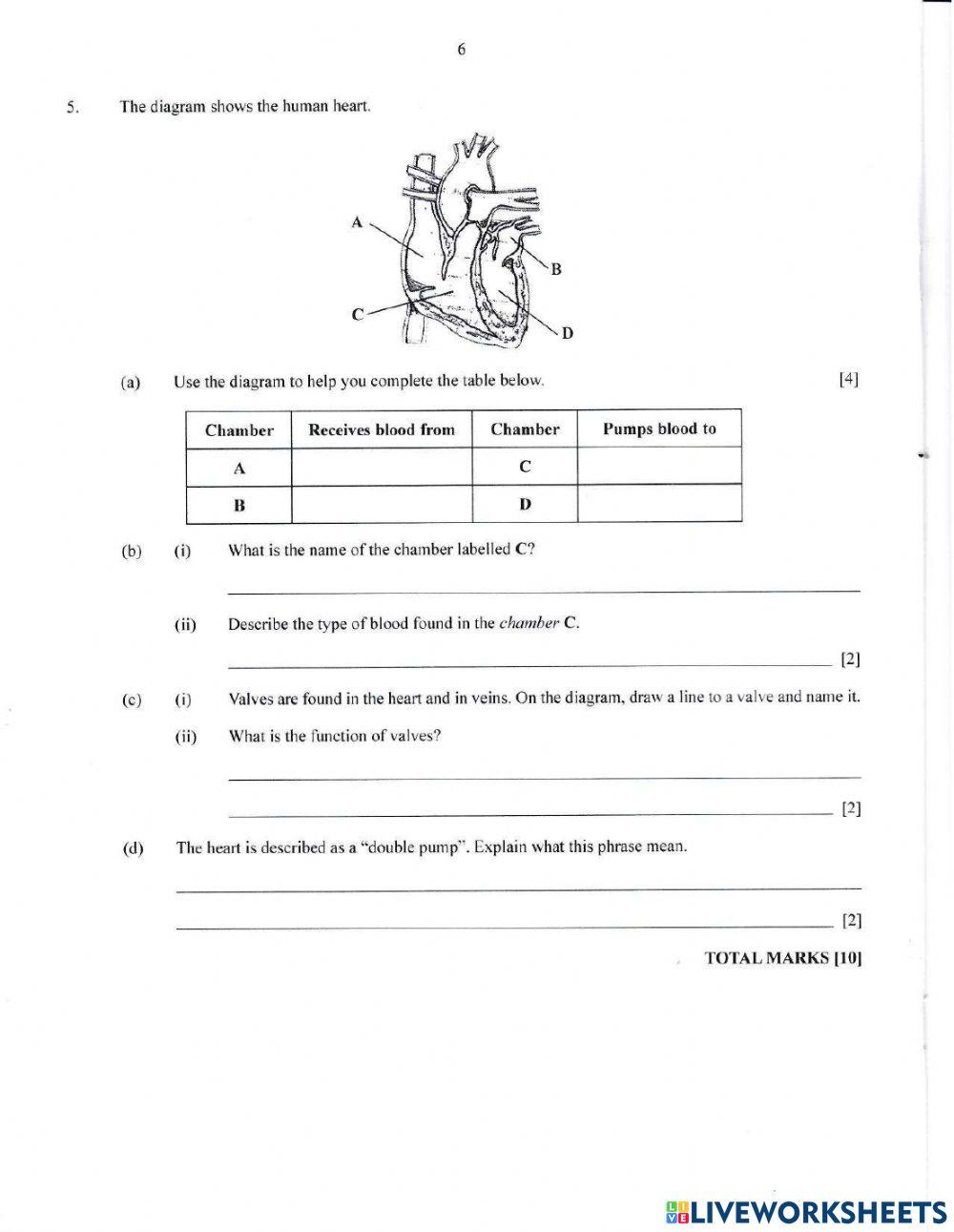Health Science Tutorial 2