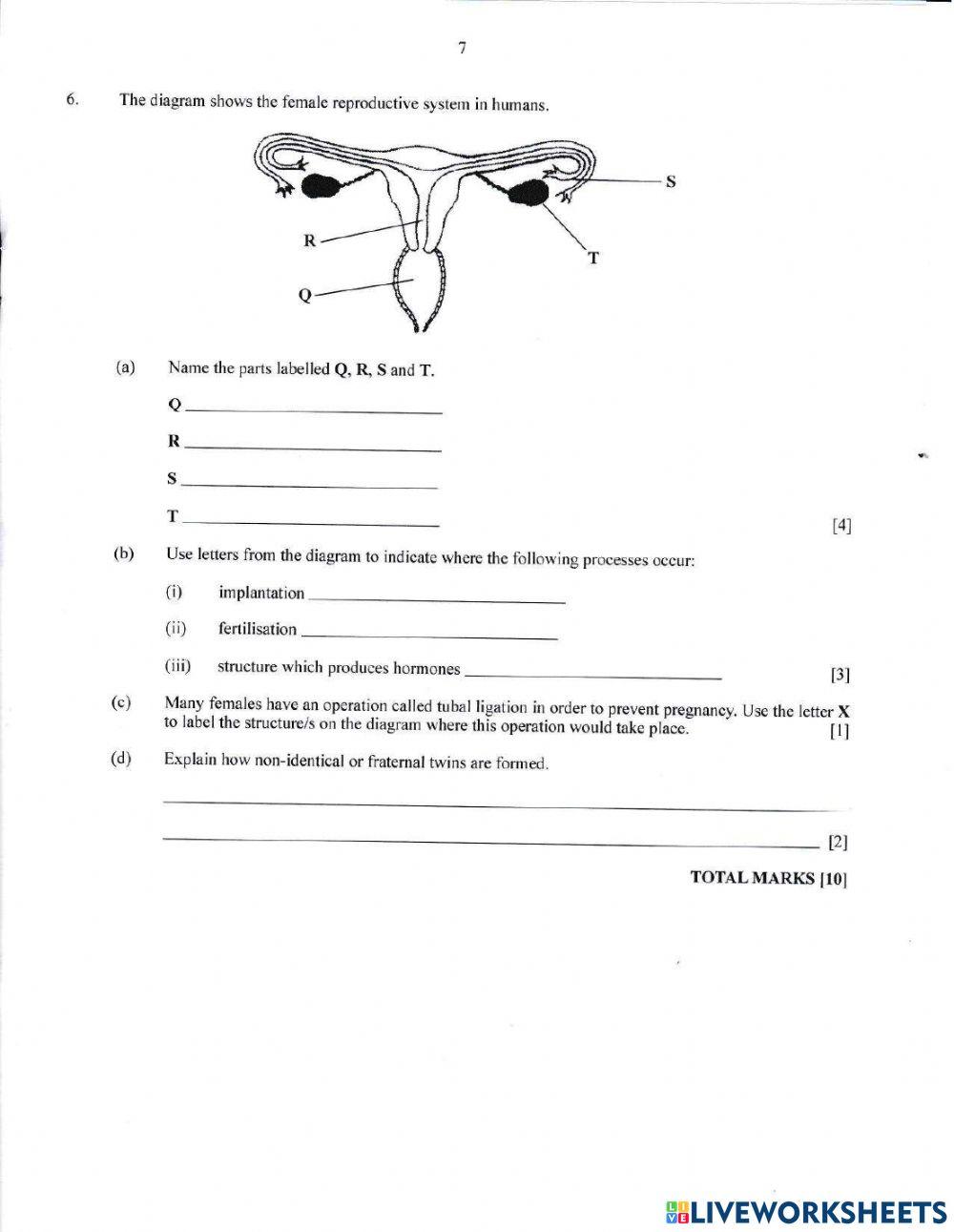 Health Science Tutorial 2