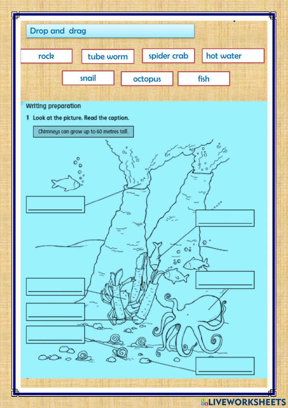 Unit 10 lesson 6 workbook