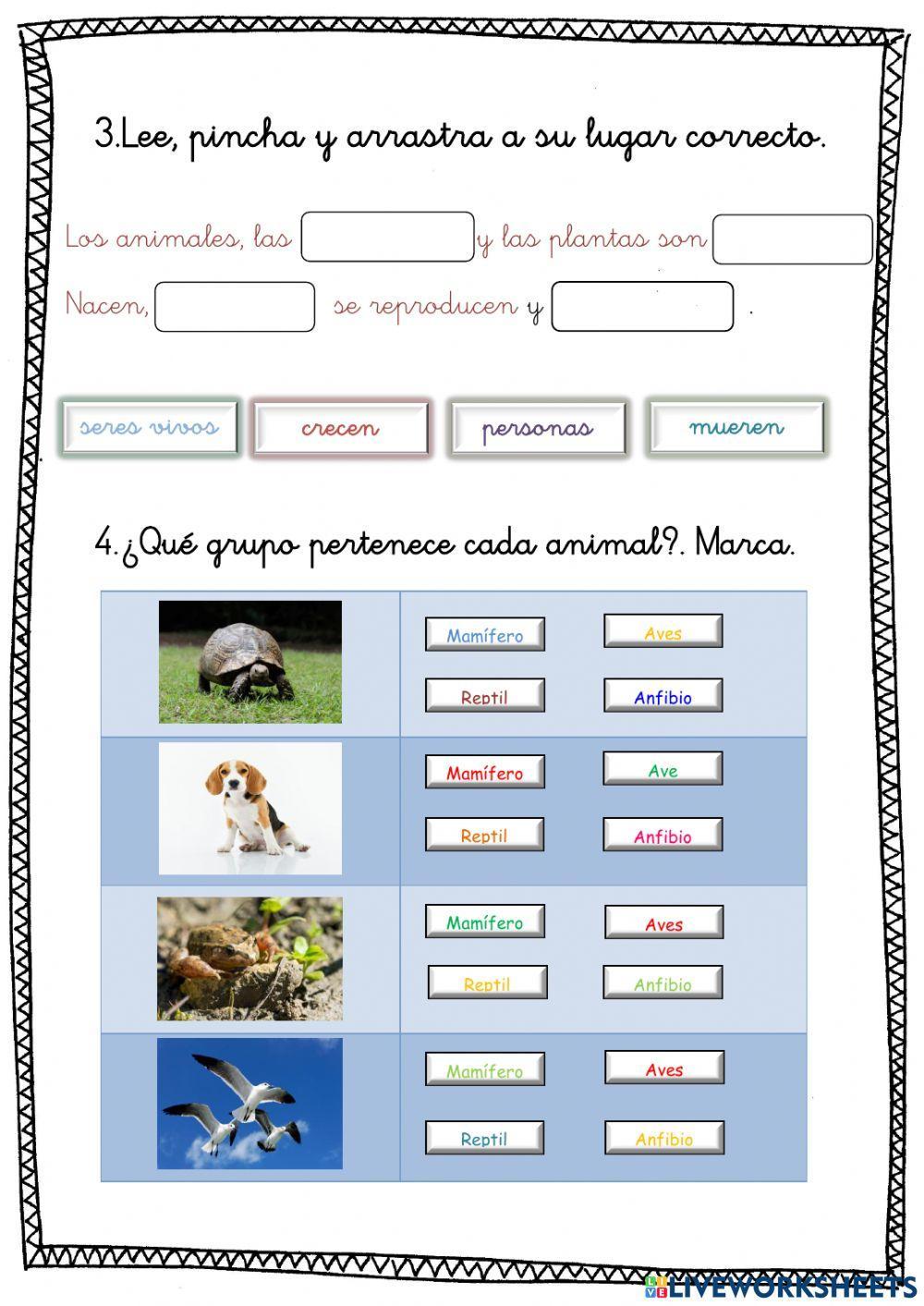 Los animales. 1º PRIMARIA