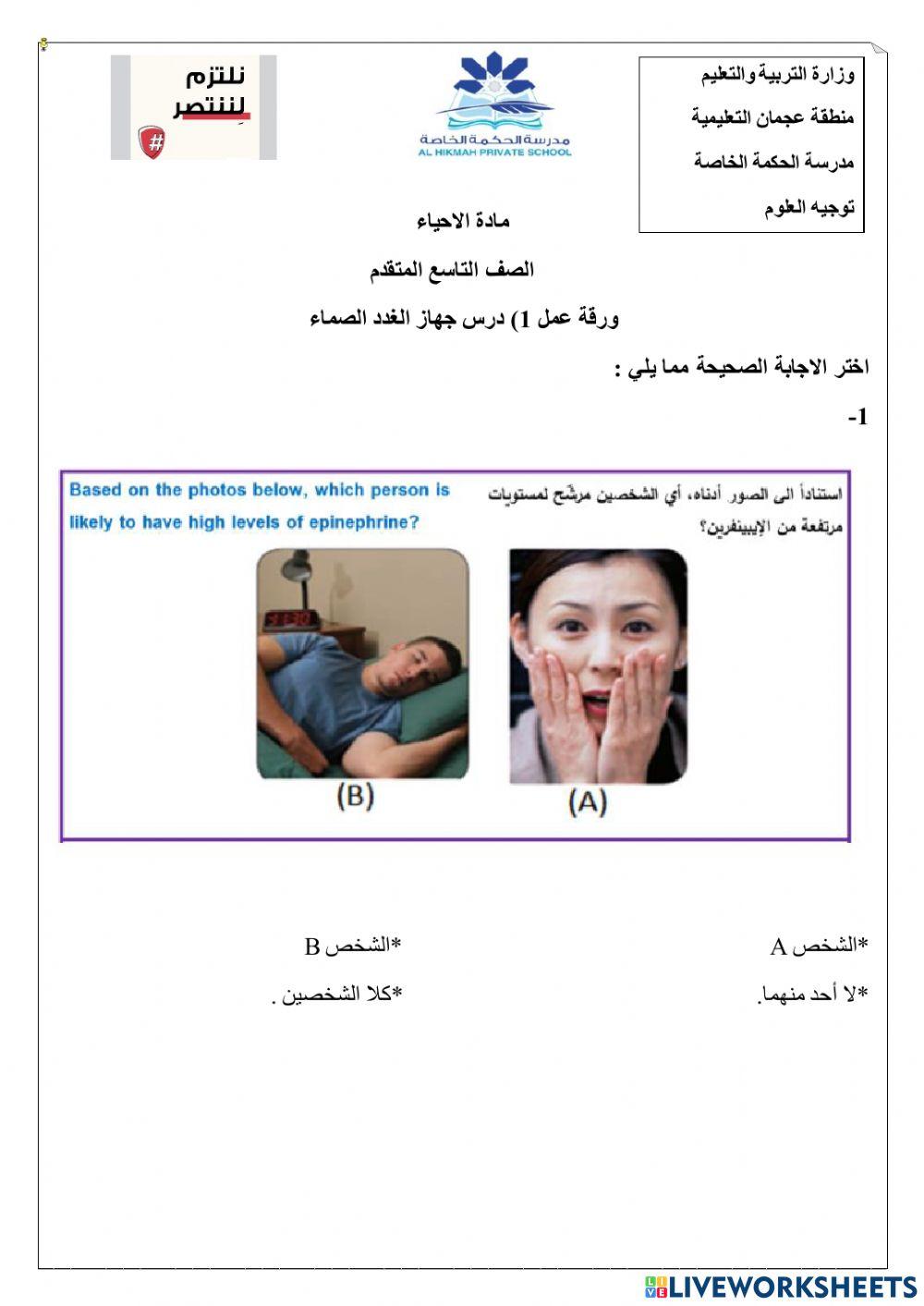 ورقة عمل تفاعلية