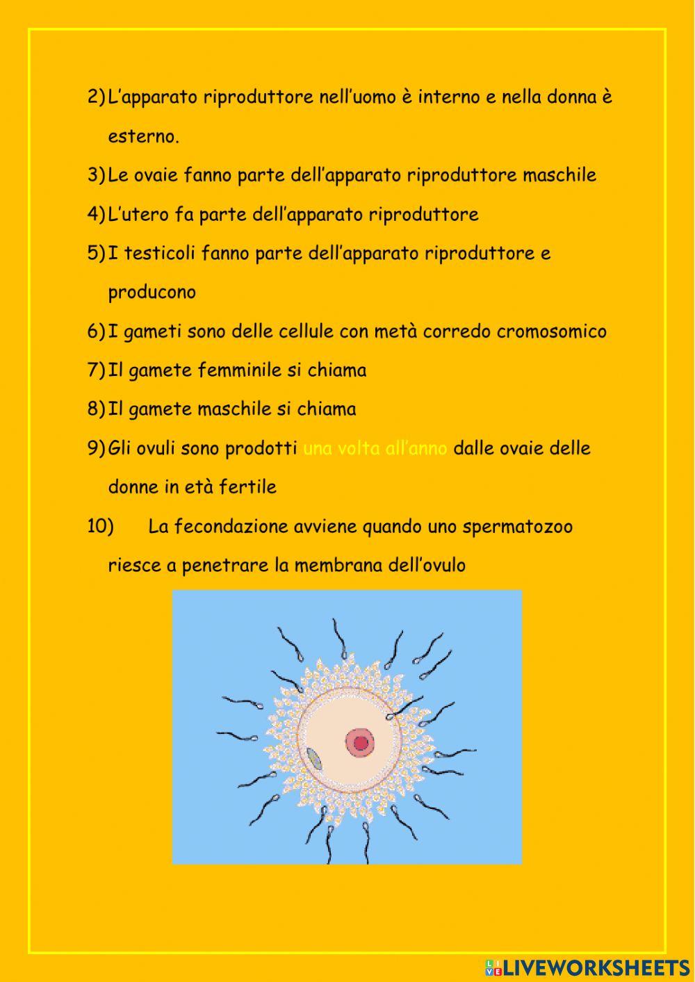 Verifica riproduzione umana