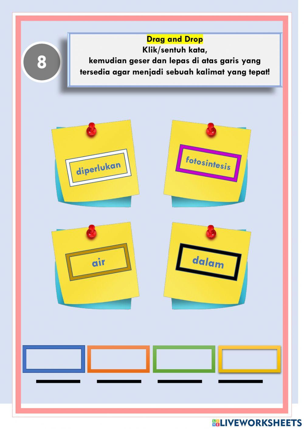 Manusia dan Lingkungan