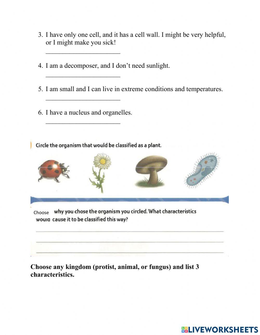 50+ plant biology worksheets for 9th Grade on Quizizz | Free \u0026 Printable, image size:1000x1291