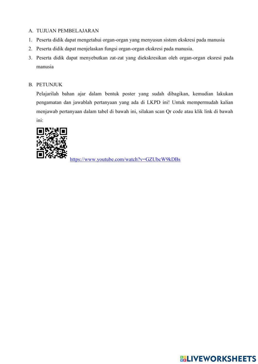 Sistem ekskresi update