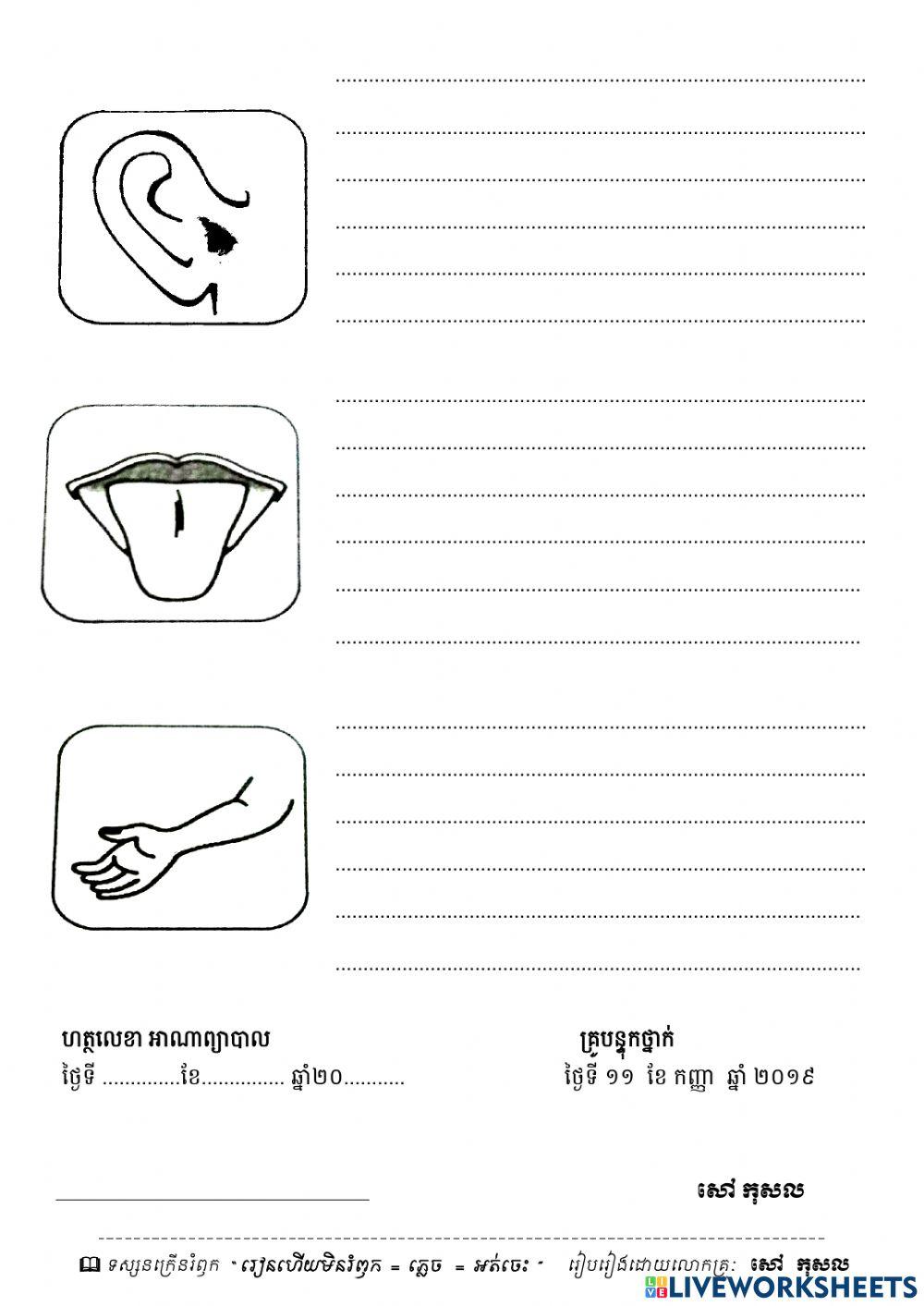 វិទ្យាសាស្រ្ត្-សិក្សាសង្គម