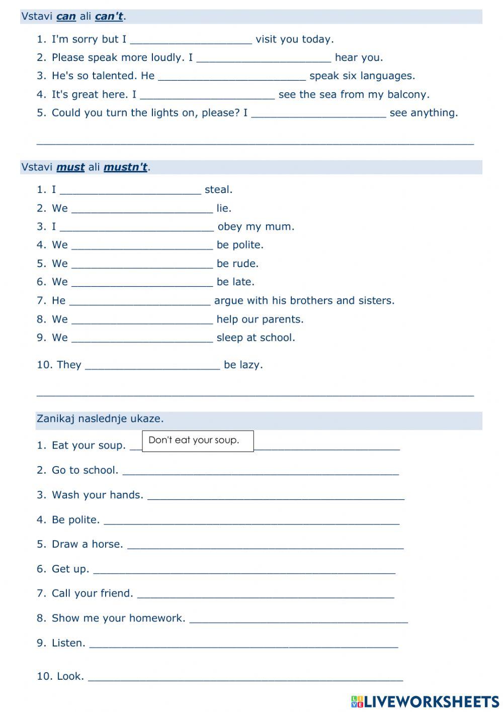 Must, Can, Present Simple Tense