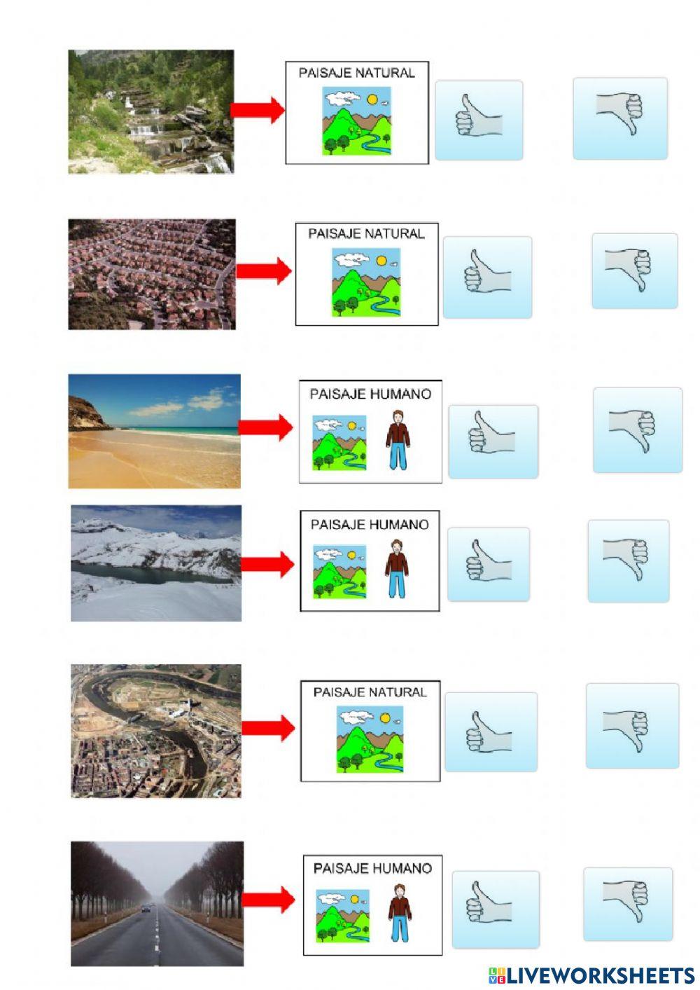 Paisajes artificiales y naturales