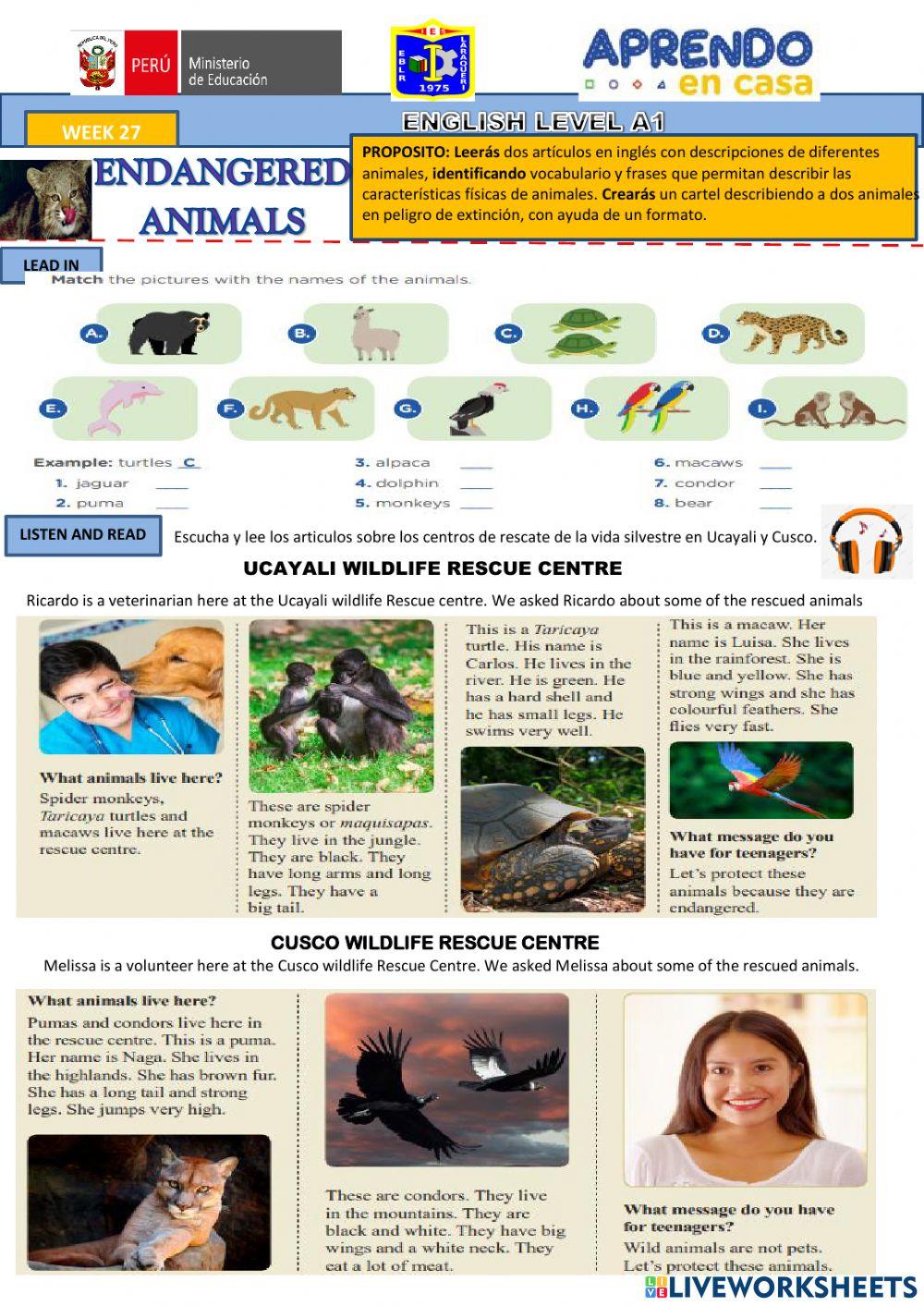 Endegered animals