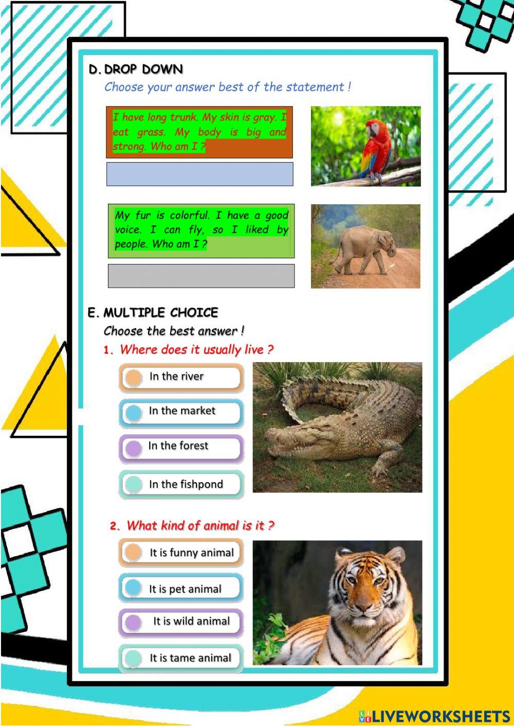 Worksheet-describing animals