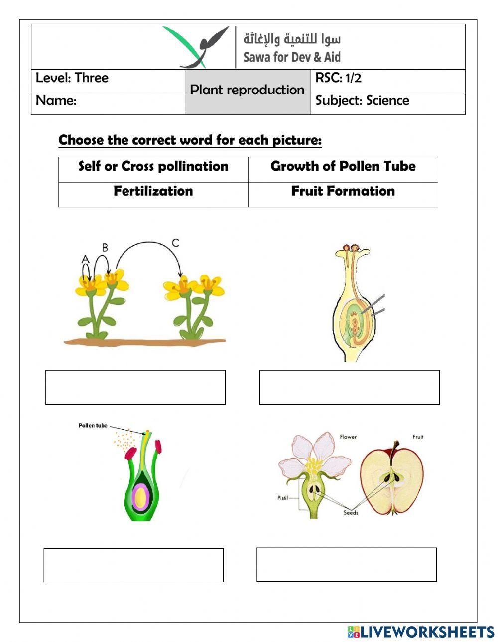 Plants reproduction