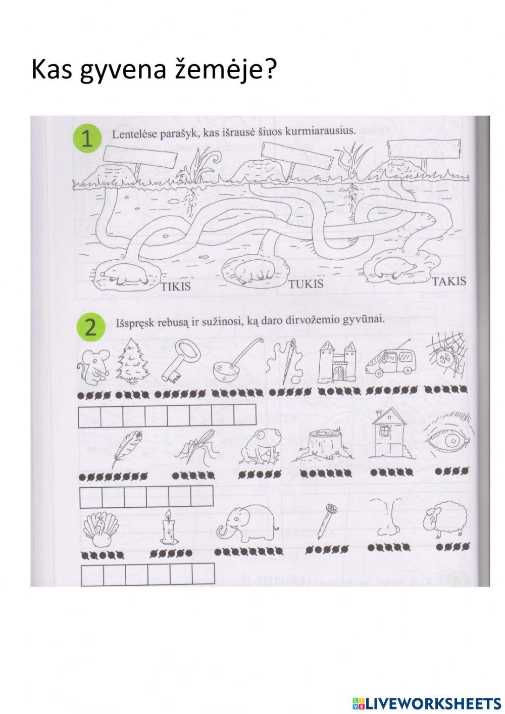 Kas gyvena žemėje?