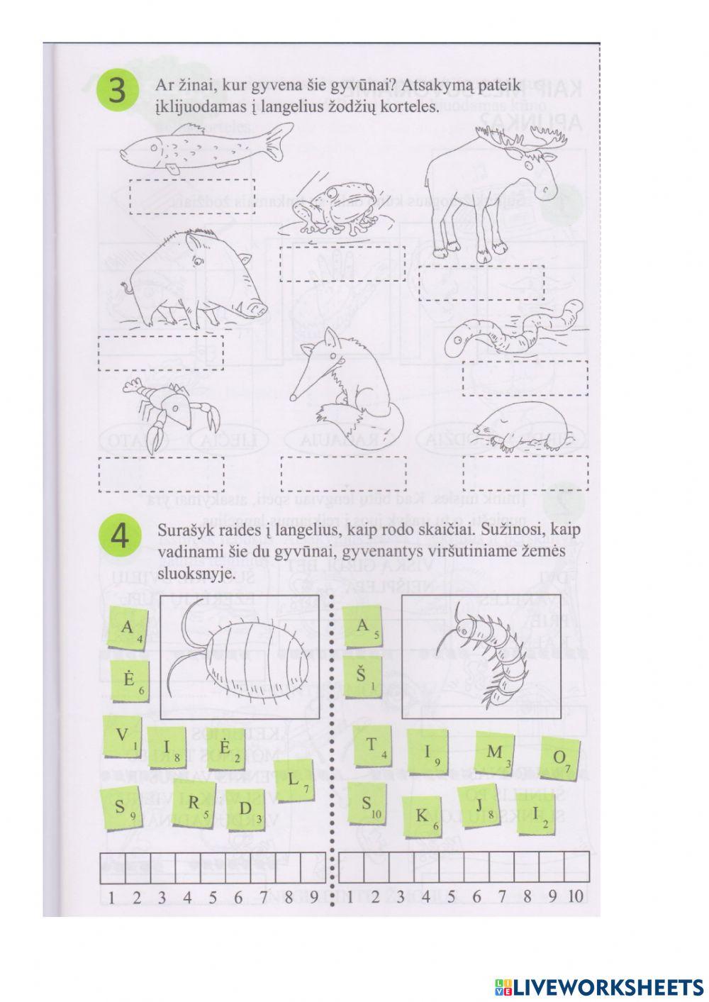 Kas gyvena žemėje?