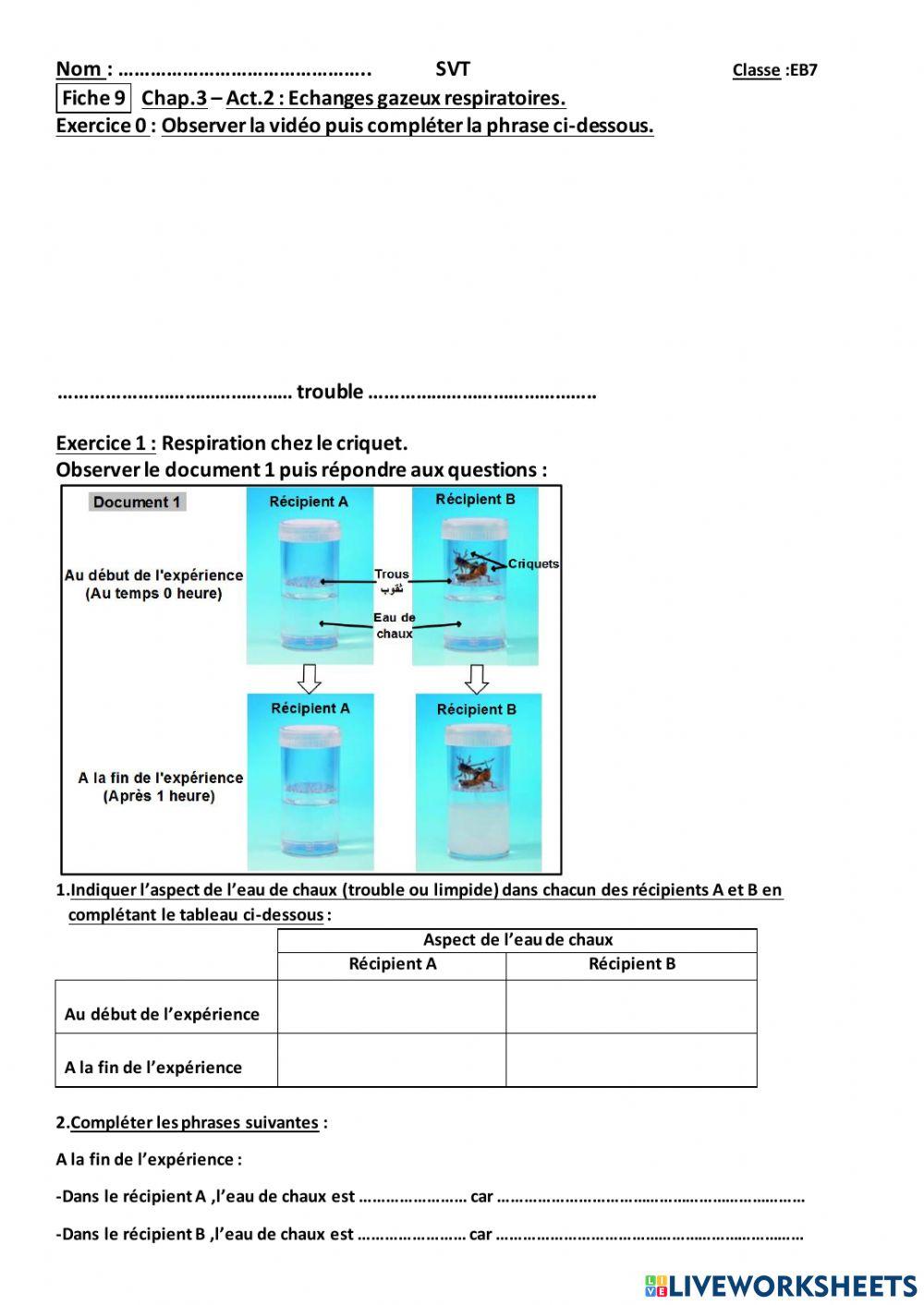 Echanges gazeux respiratoires