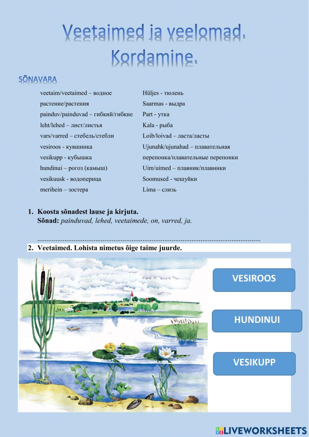 Veetaimed ja veeloomad