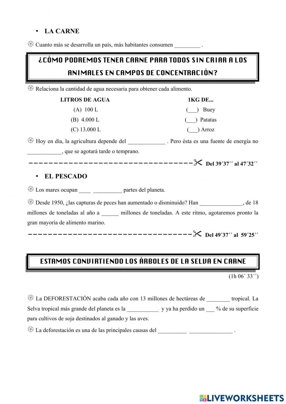 Guión documental -home-