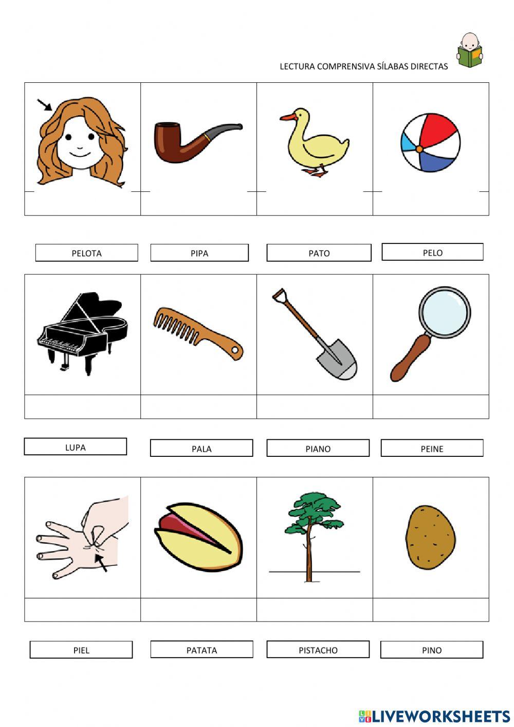 Lectura comprensiva sílabas directas -p-