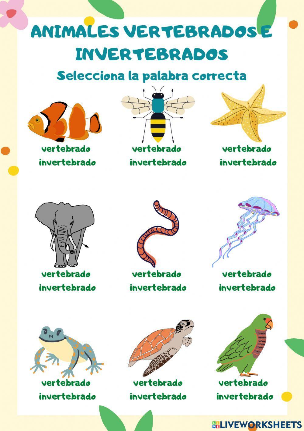 Animales Vertebrados e invertebrados