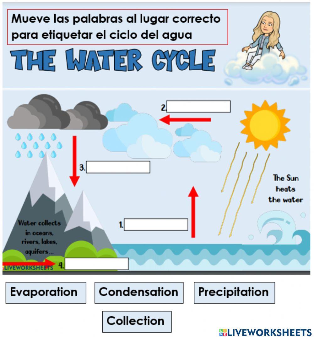 Water Cycle