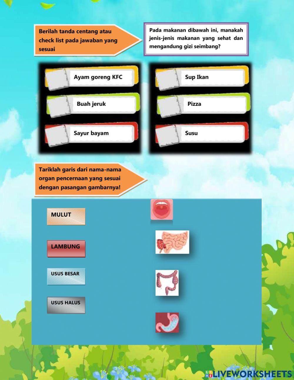 E-LKPD Sistem Pencernaan Manusia