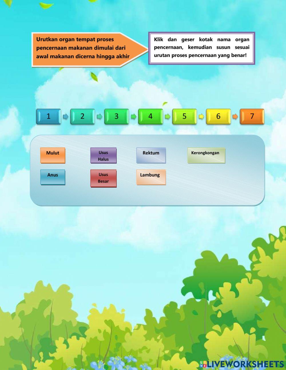 E-LKPD Sistem Pencernaan Manusia