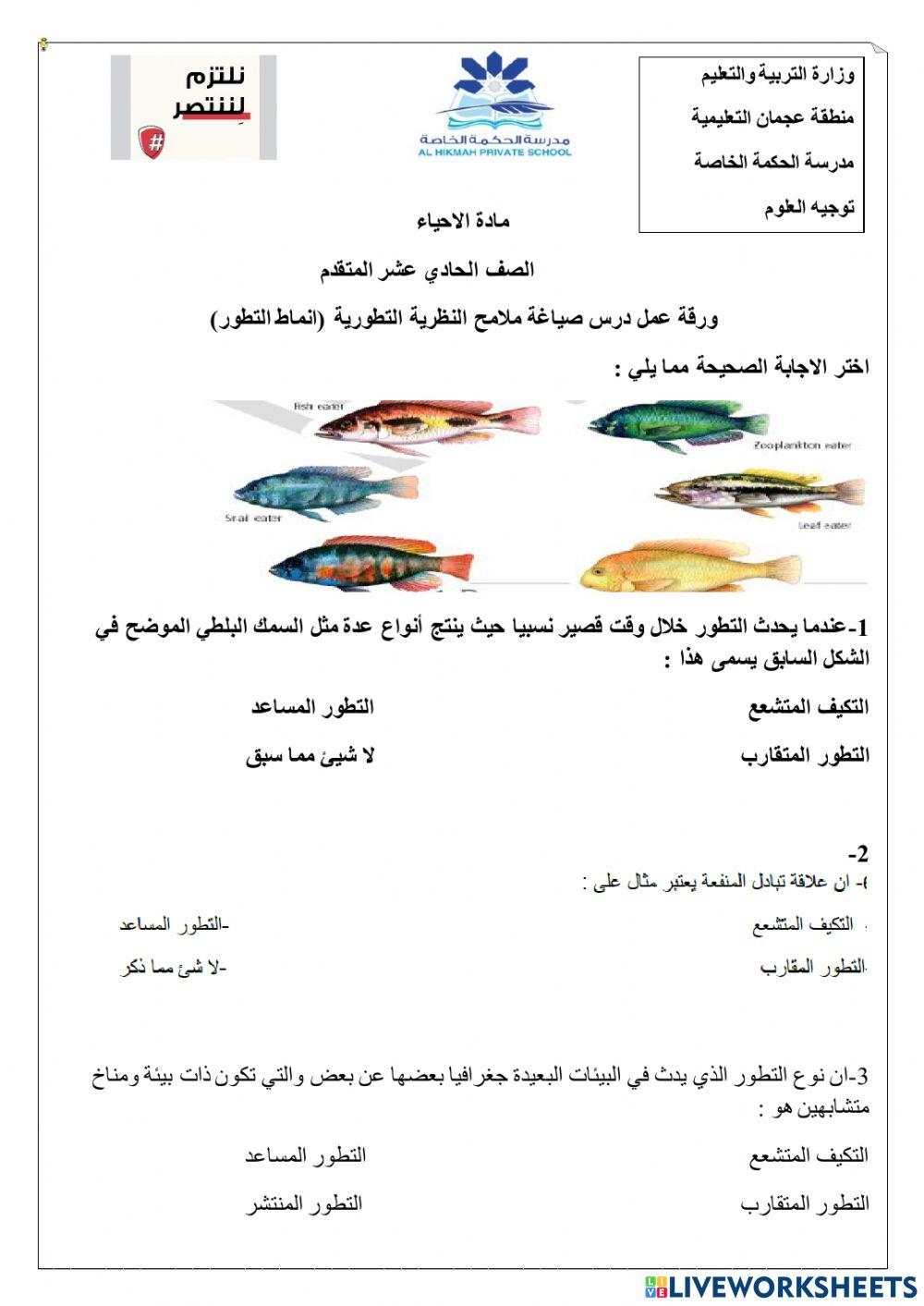 ورقة عمل تفاعلية