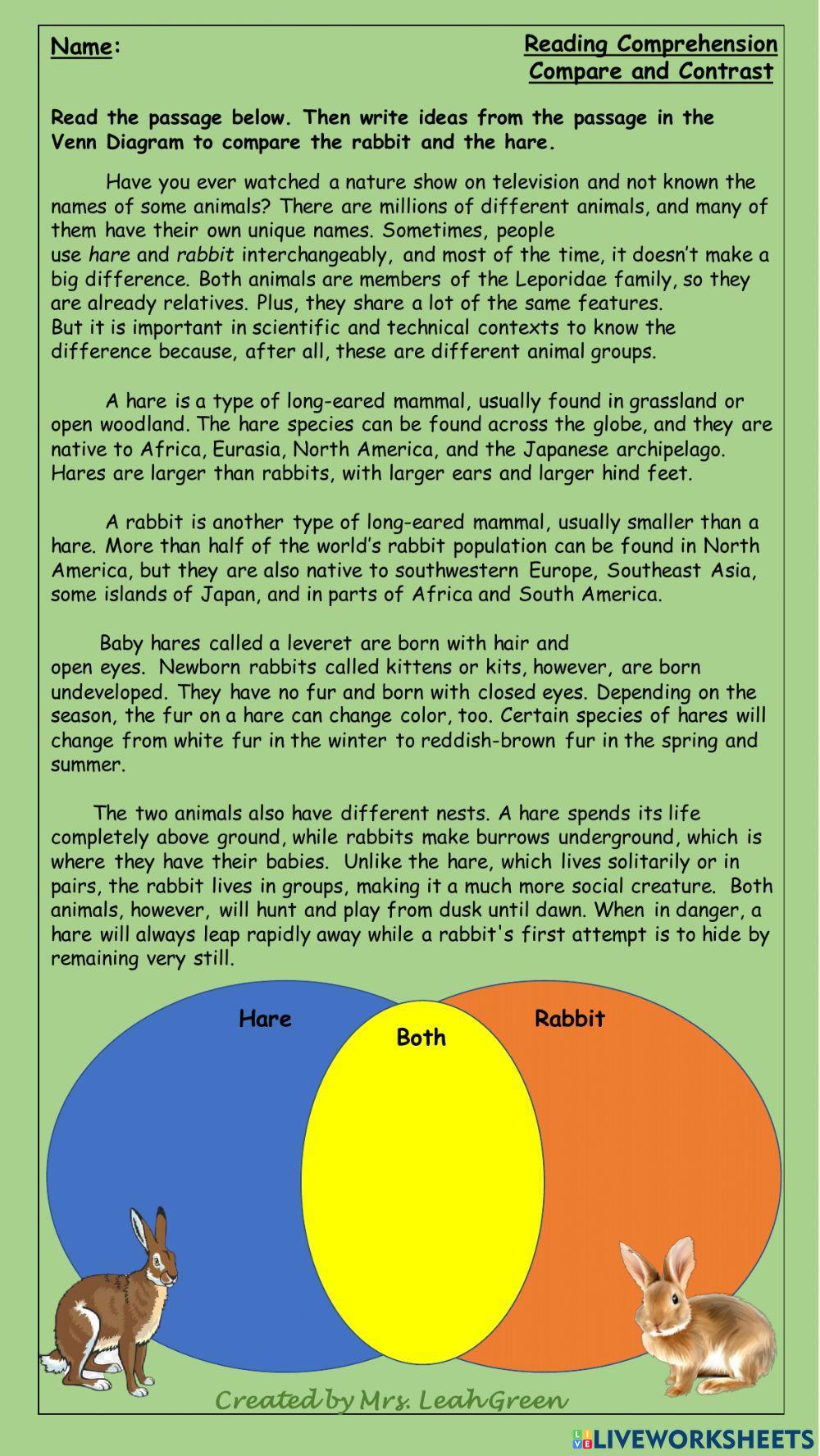 Compare and Contrast